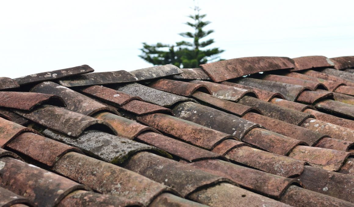 selective focus photo of brown roof shingles