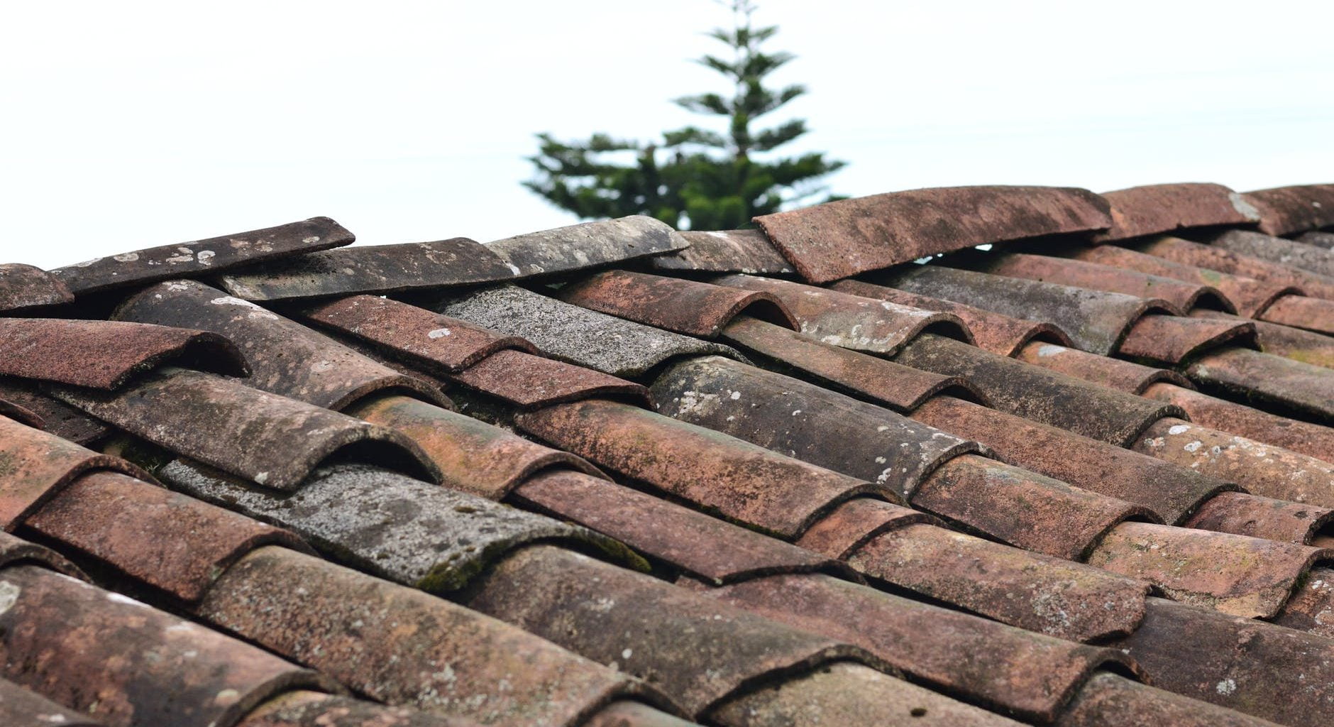 selective focus photo of brown roof shingles