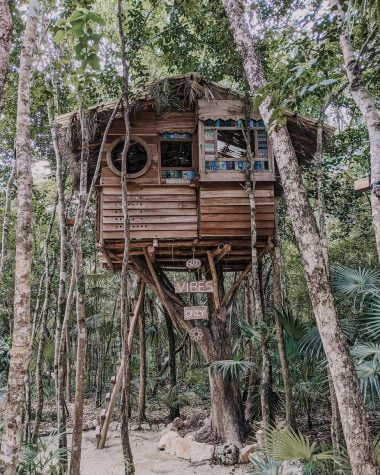 brown wooden treehouse on tree