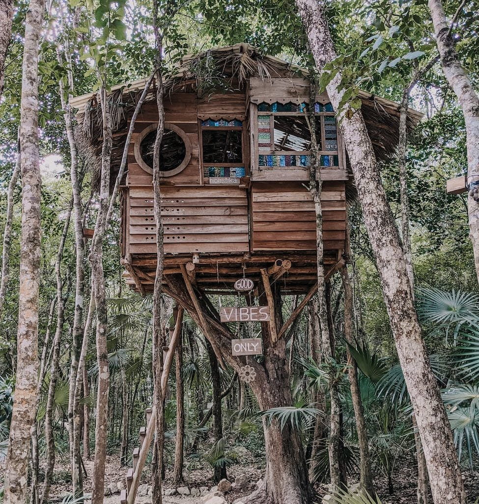 brown wooden treehouse on tree