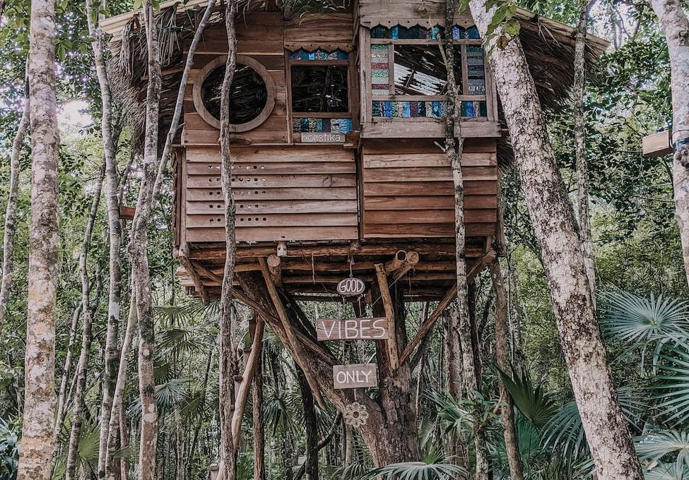 brown wooden treehouse on tree