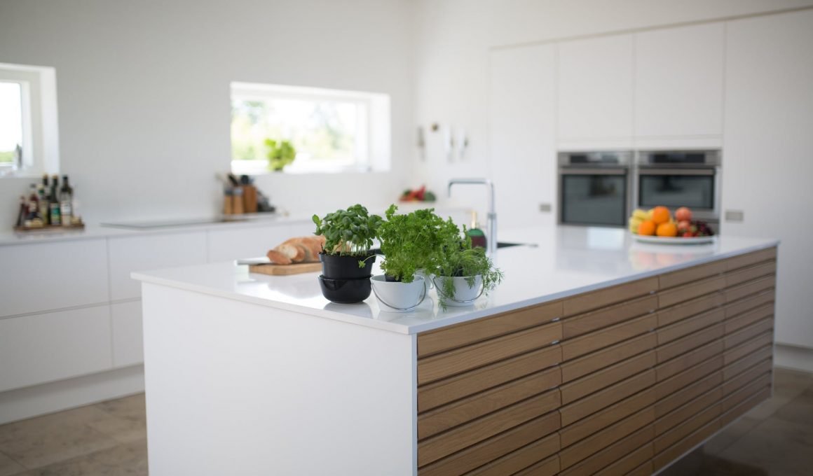 green leafed plants on kitchen island