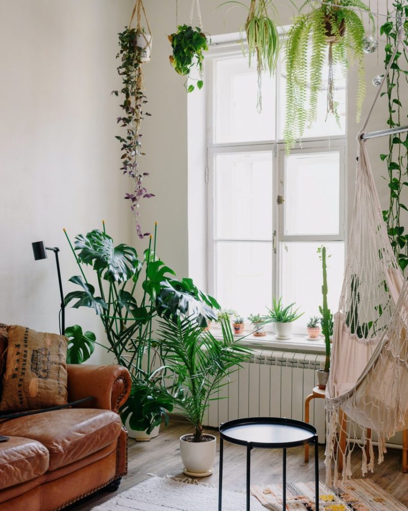 Hoe haal je het lentelicht optimaal in huis